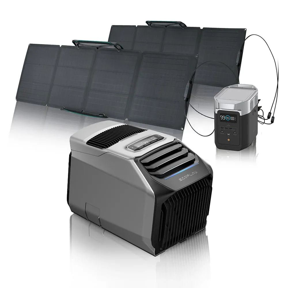 EcoFlow WAVE 2 Portable AC   DELTA 2   110W Portable Solar Panel