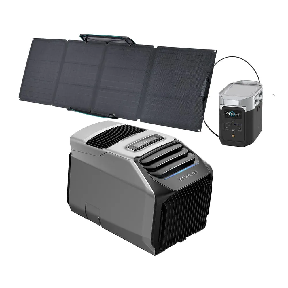 EcoFlow WAVE 2 Portable AC   DELTA 2   110W Portable Solar Panel