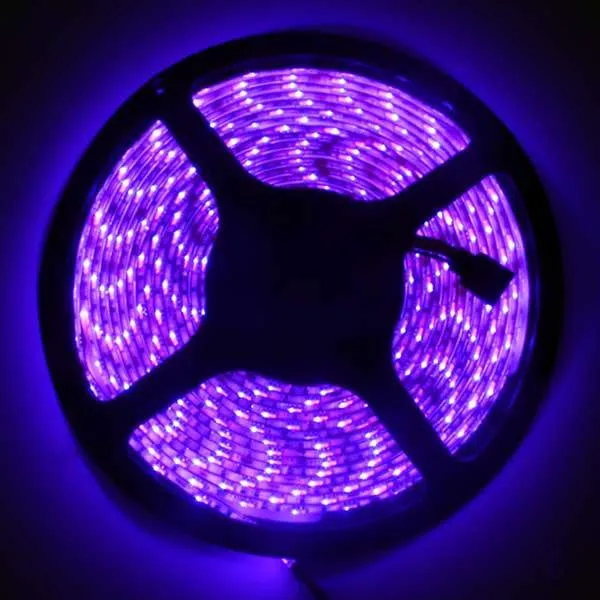 NovaBright 24V 5050SMD Color Changing RGB Super Bright LED Strip Light 16 Ft Reel 300 LEDs Reel Only