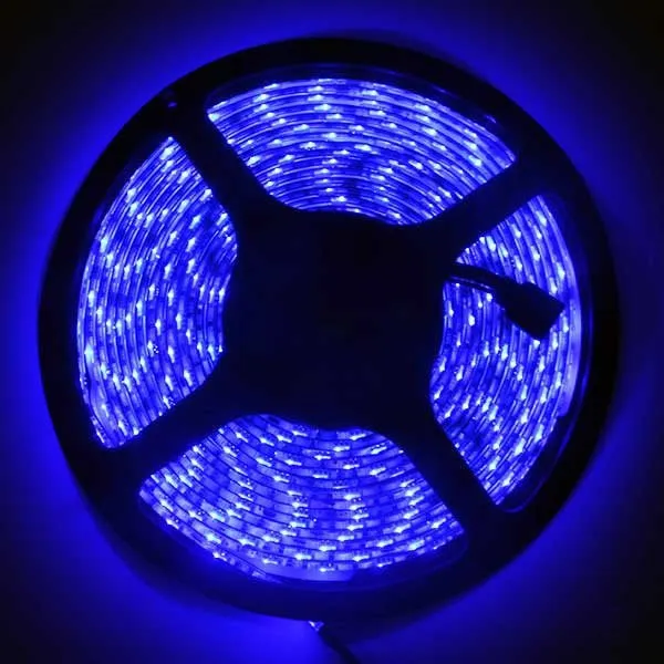 NovaBright 24V 5050SMD Color Changing RGB Super Bright LED Strip Light 16 Ft Reel 300 LEDs Reel Only